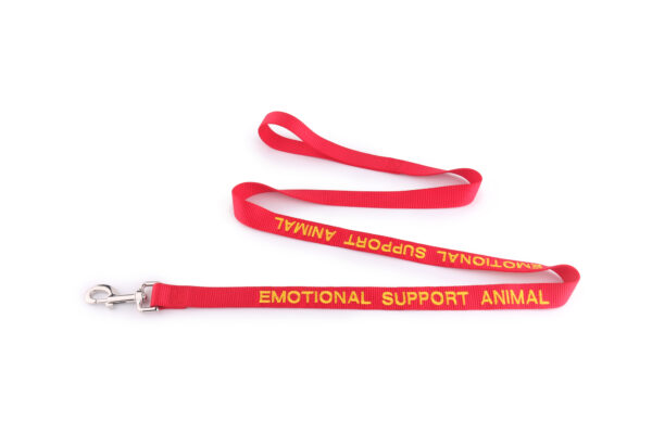 ESA Leash - Image 2