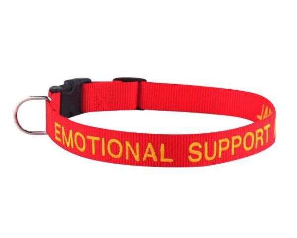 Emotional Support Collar