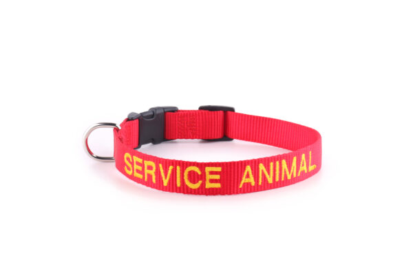 Service Most Needed Package - Image 5