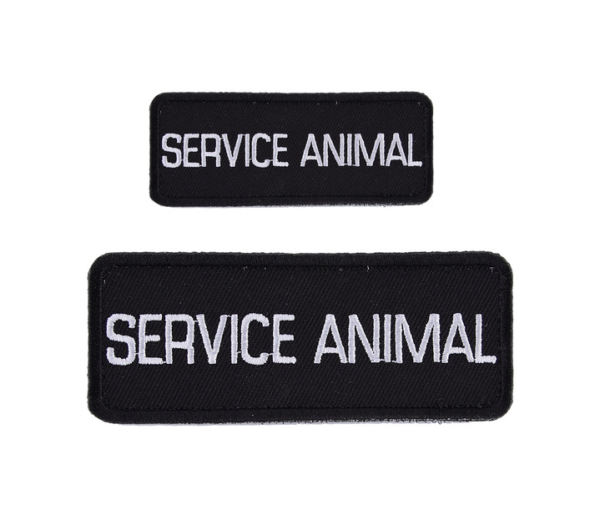 Standard Package - Service Animal - Image 3