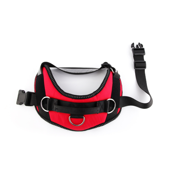 Outdoor Harness - Image 21