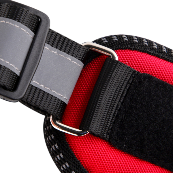 Outdoor Harness - Image 15
