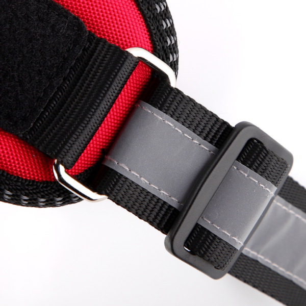 Outdoor Harness - Image 14
