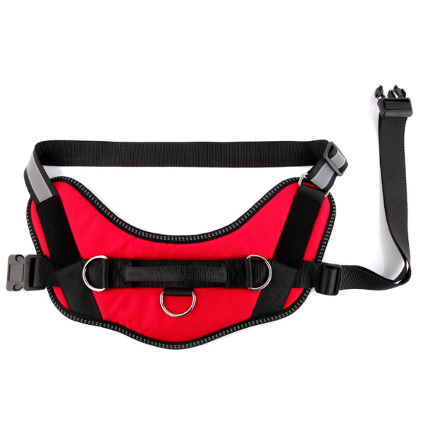 Outdoor Harness - Image 12