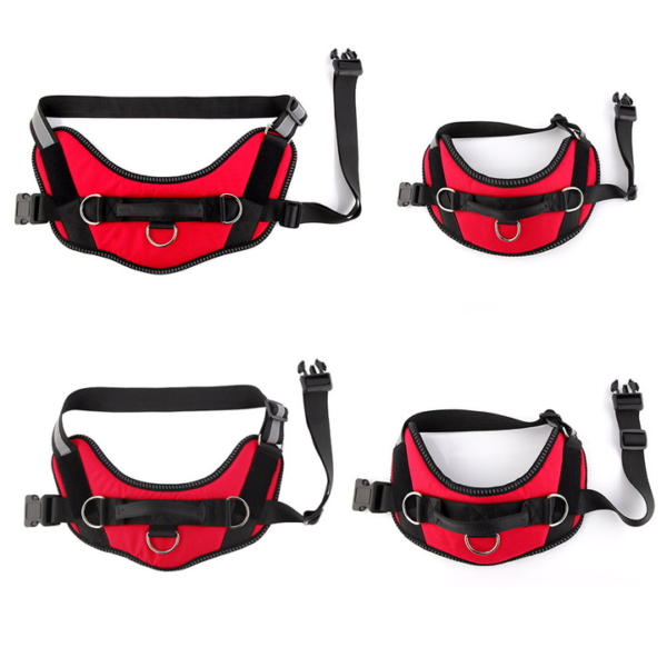 Outdoor Harness - Image 11