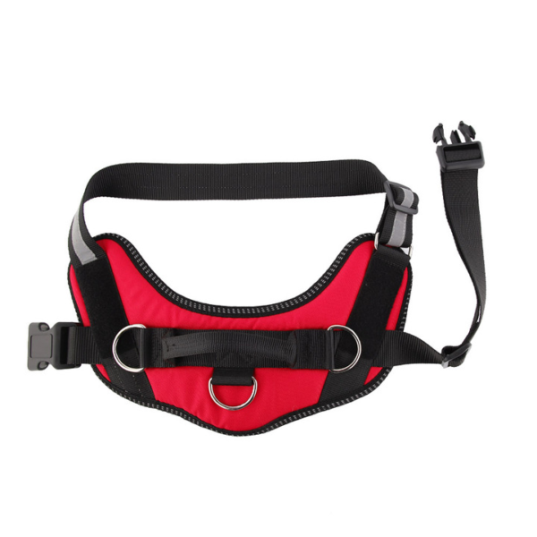 Outdoor Harness - Image 10
