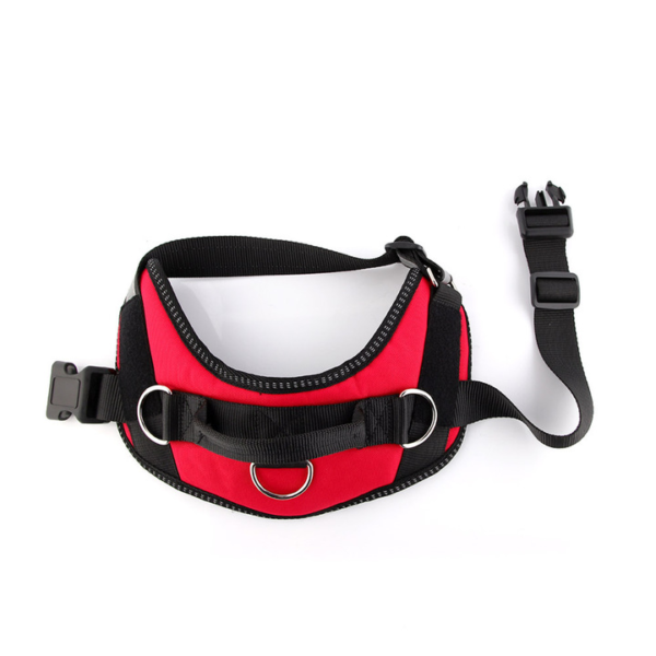 Outdoor Harness - Image 9
