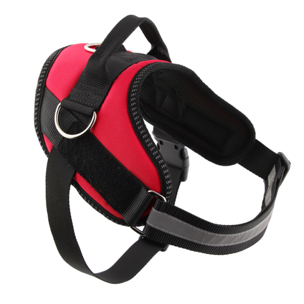 Outdoor Harness - Image 8