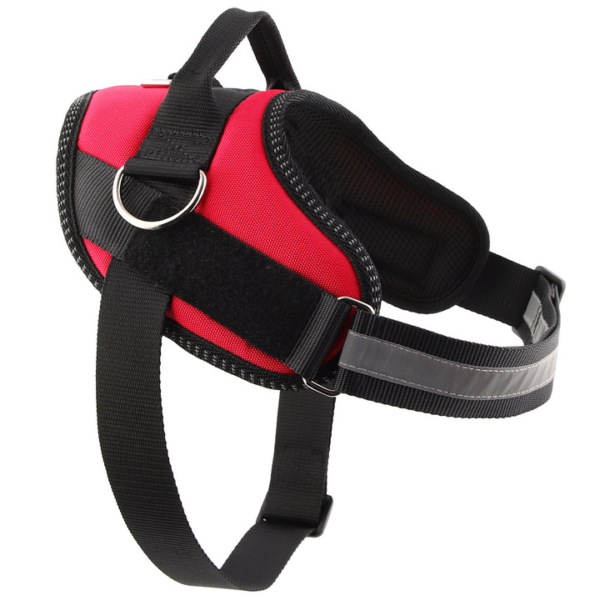 Outdoor Harness - Image 7