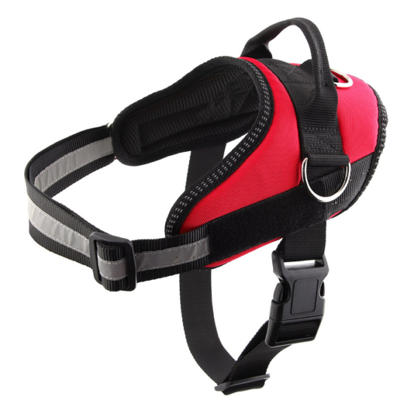 Outdoor Harness - Image 6