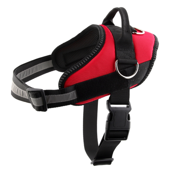 Outdoor Harness - Image 5