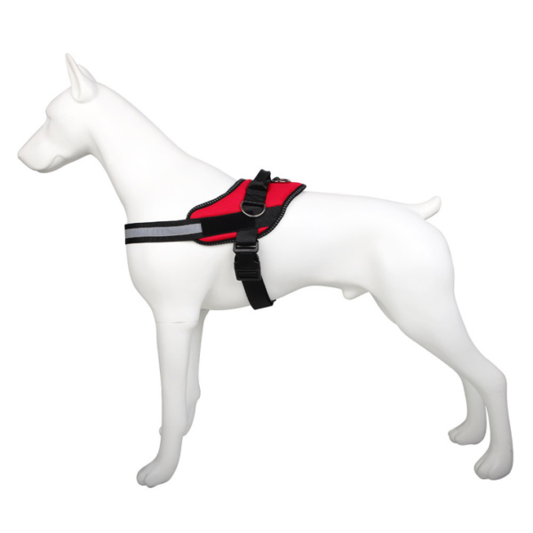 Outdoor Harness - Image 3