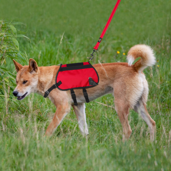 Poop Bag Harness