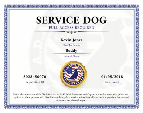 Service Most Needed Package - Image 2