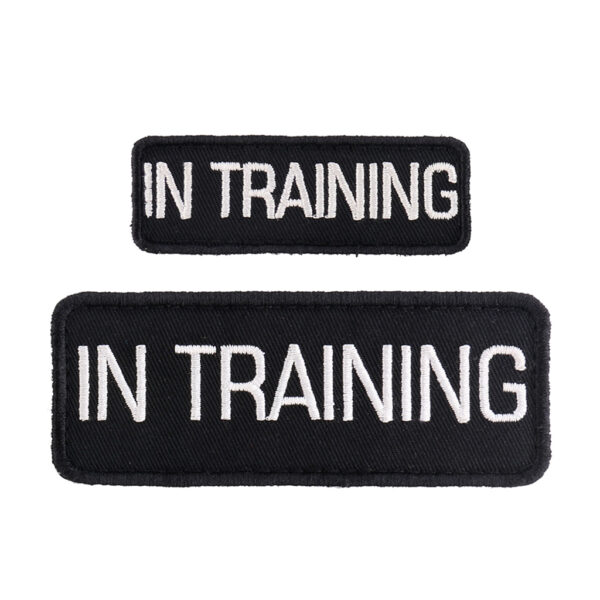 In Training Patch